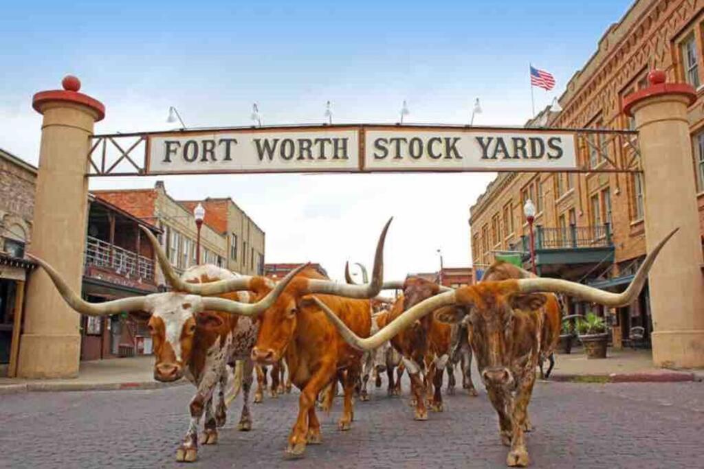 **Min Frm Dwntwn Fort Worth*Modern*Cozy*Townhome** Exterior foto